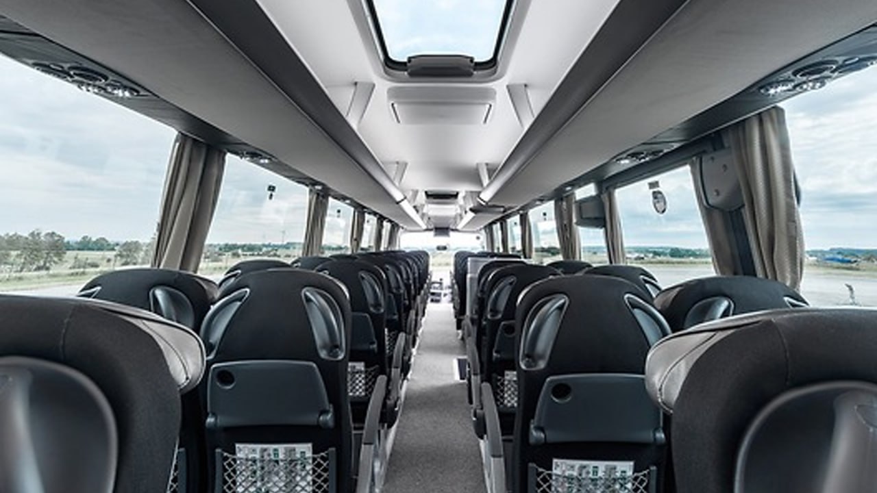 Man Lion's Coach